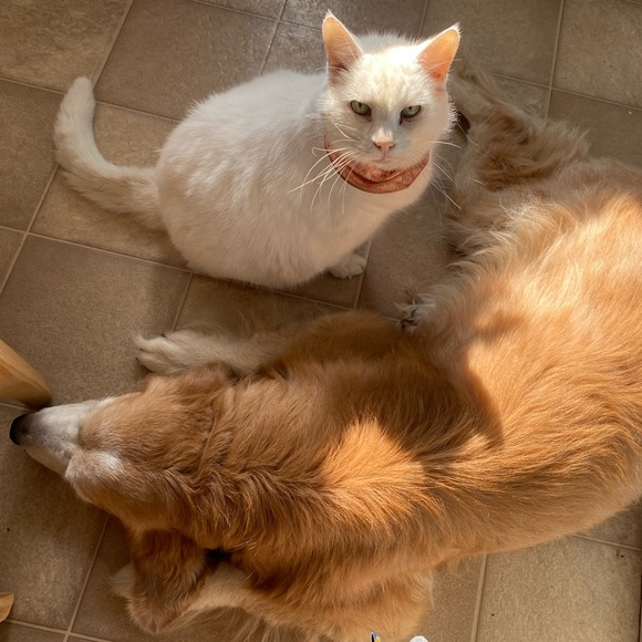 Meet the Posher Other - Meet your Posher, Jenna